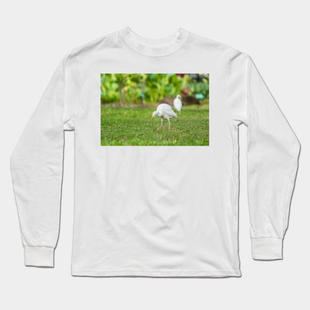 Cattle Egret 2 + 2 Long Sleeve T-Shirt by KensLensDesigns